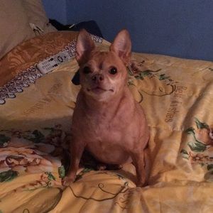 Meet your Posher, Audra